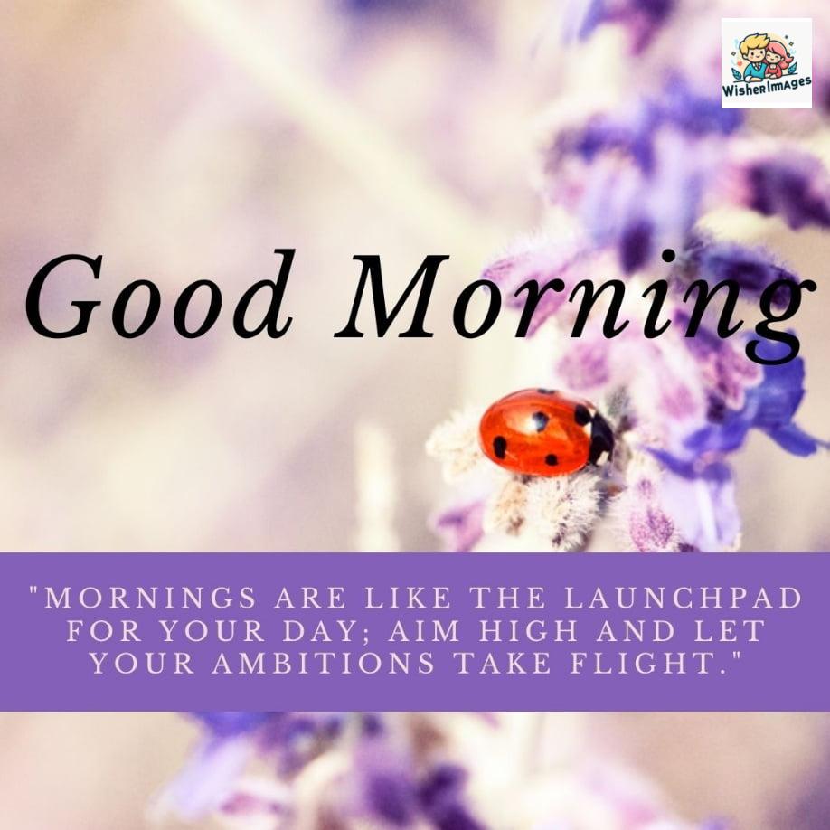 Red Bital on the purple flowers with white leaf, good morning quote