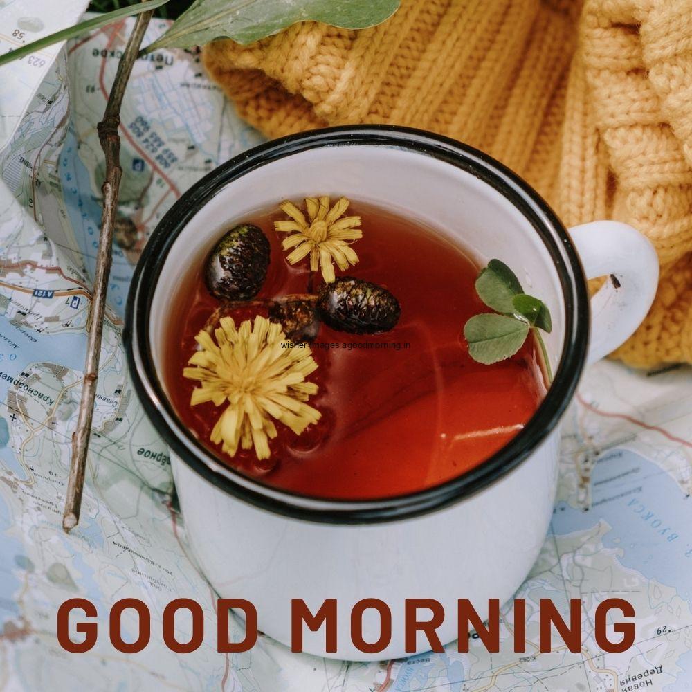 brown tea in the site cup and the cup on the plate with good morning quote