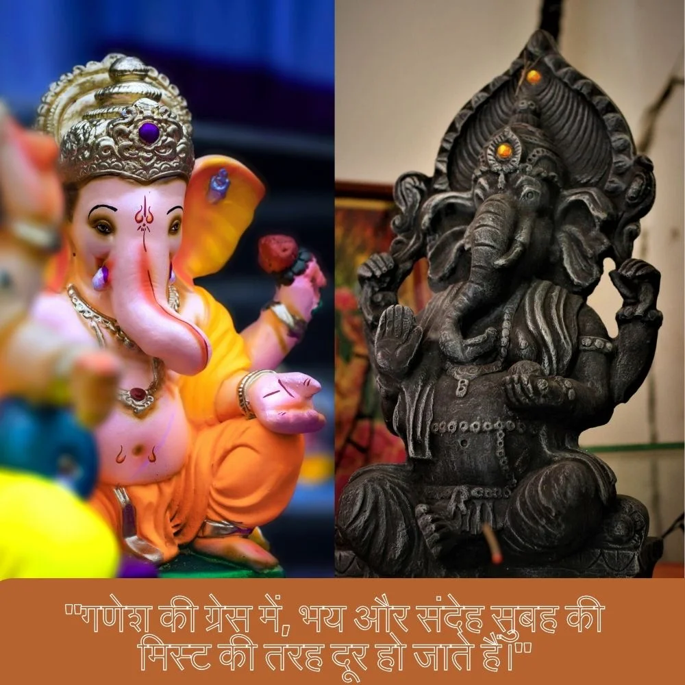 Pink-cream with yellow ears Ganesh stachu, another black Ganesh  Stachu also displayed