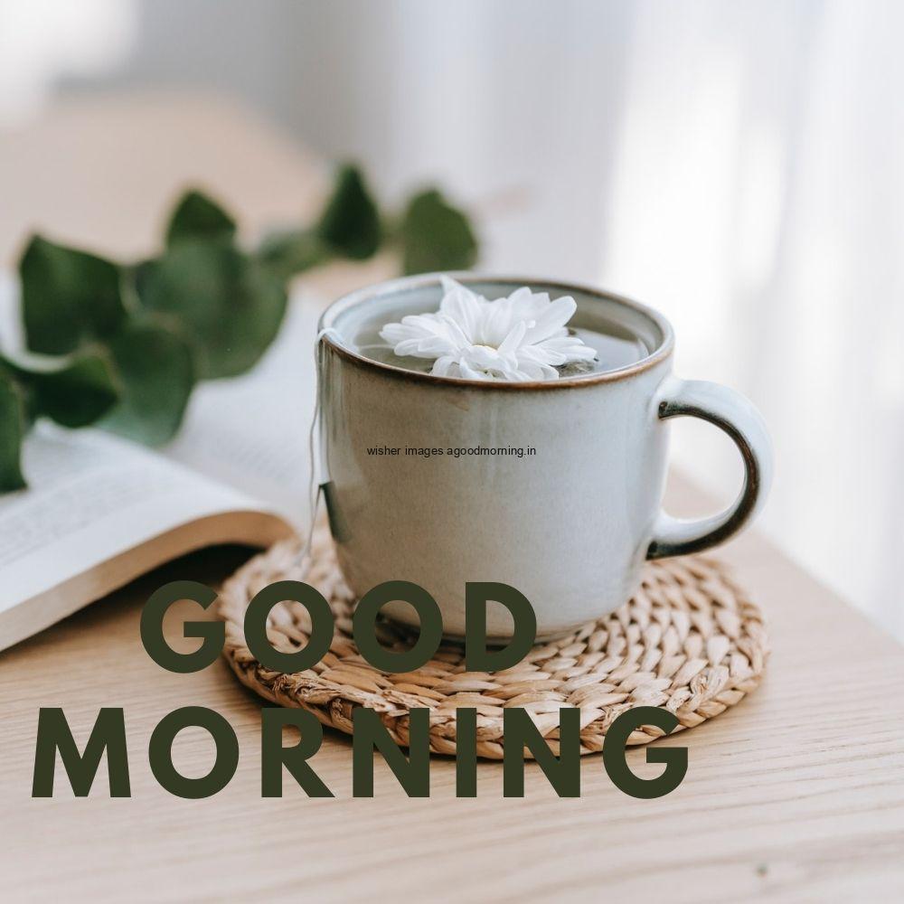 green leaves and white cup and plate with good morning quote