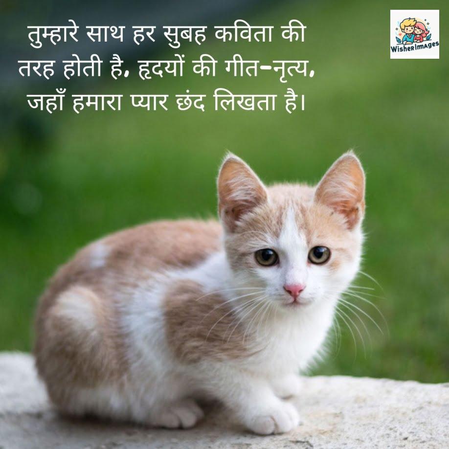 Brown & white color mix cat which is see in front of screen, behind the cat green background, good morning quote is placed