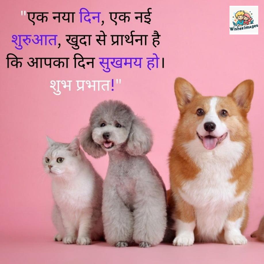 Dogs and cat is siting together, good mornings quote is placed