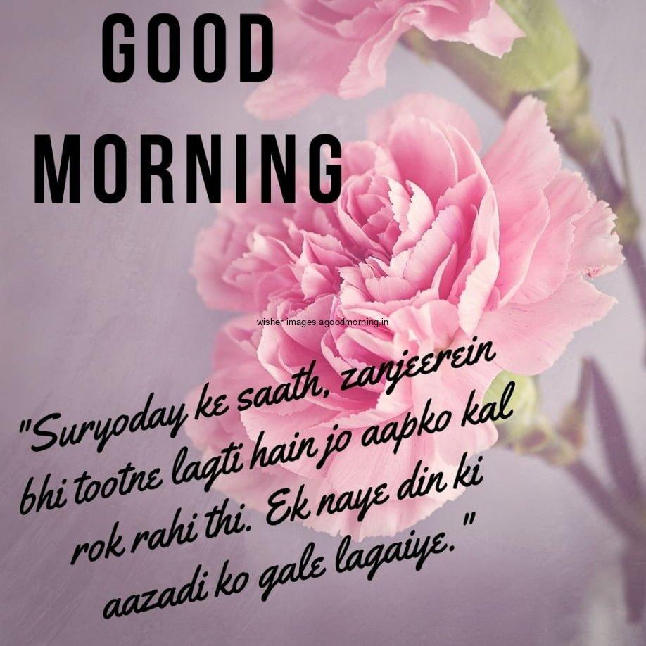 Big Pink flowers, good morning quote, unique motivational quote