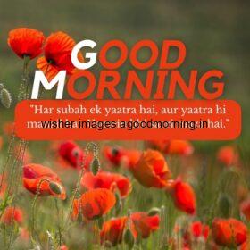 orange flowers with leaf, good morning quote, unique motivational quote