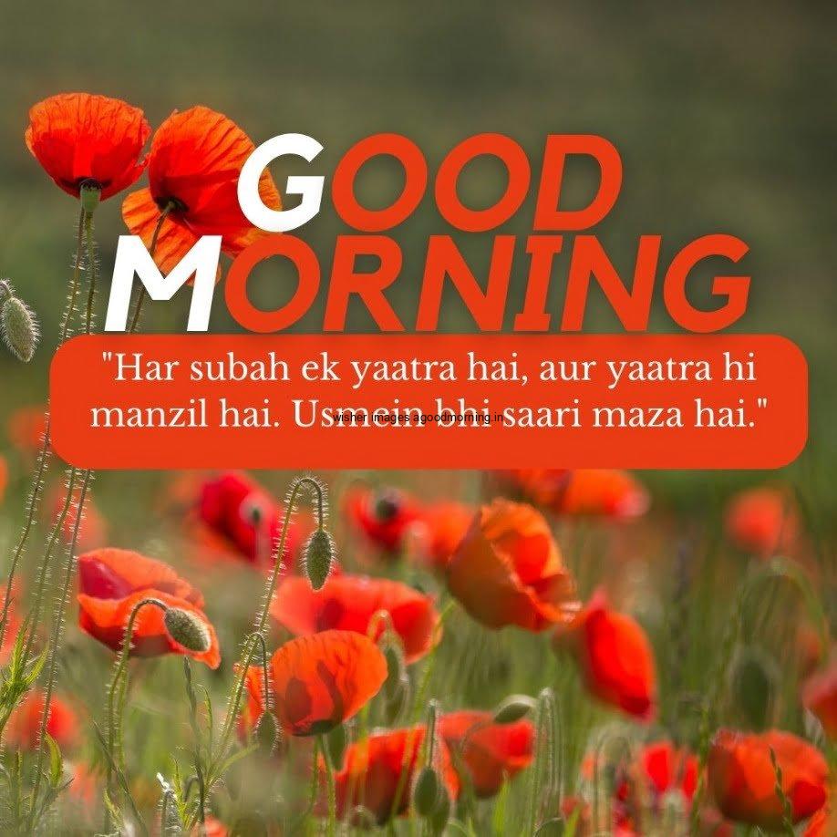 50+ HD Flowers wish images || Good morning images 6 beatifull flowers with good morning 21