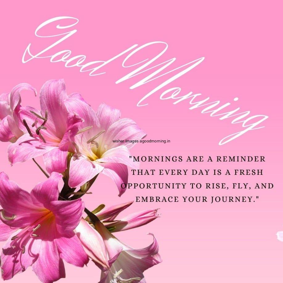 Pink flowers with light Pink background good morning quote, unique motivational quote