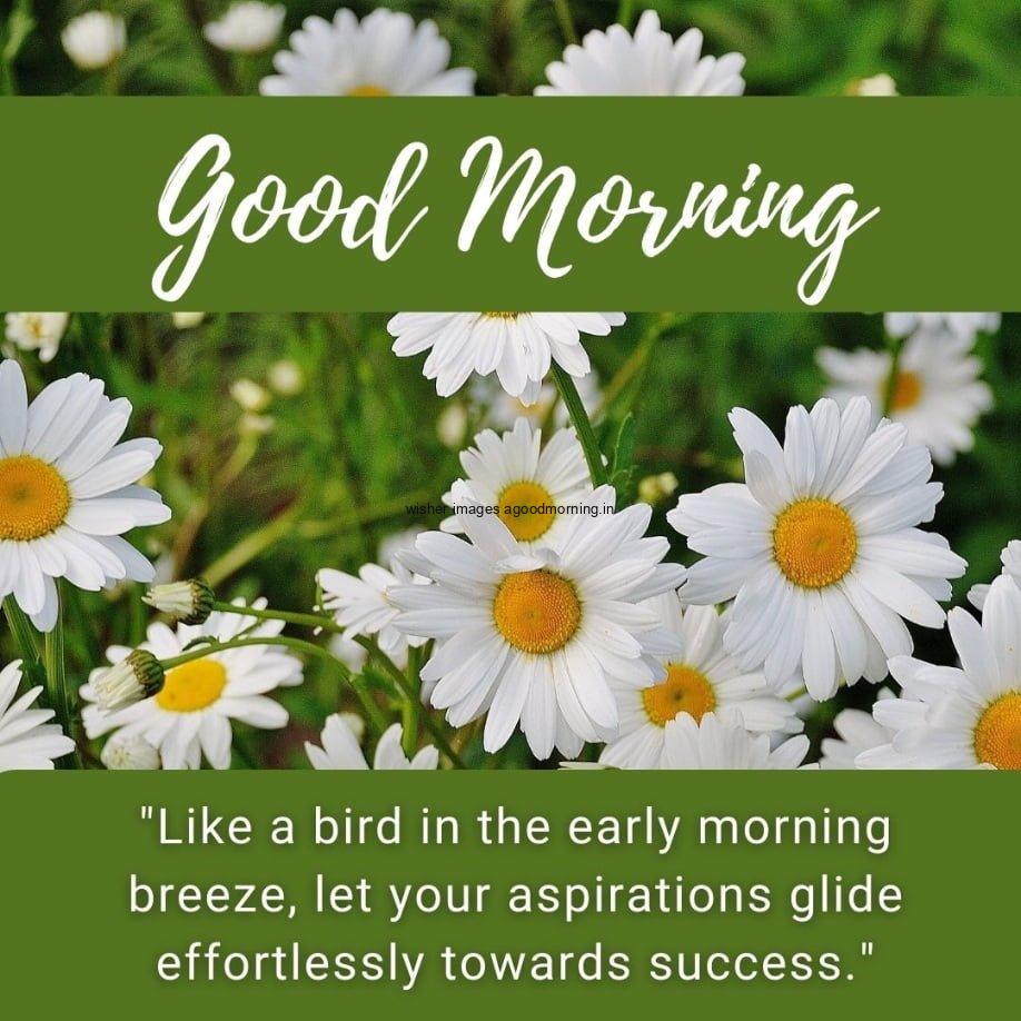 white flowers with good morning quote, unique motivational quote