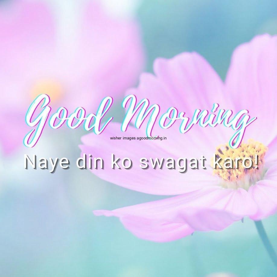 sky blue background with pink flowers good morning quote, unique motivational quote