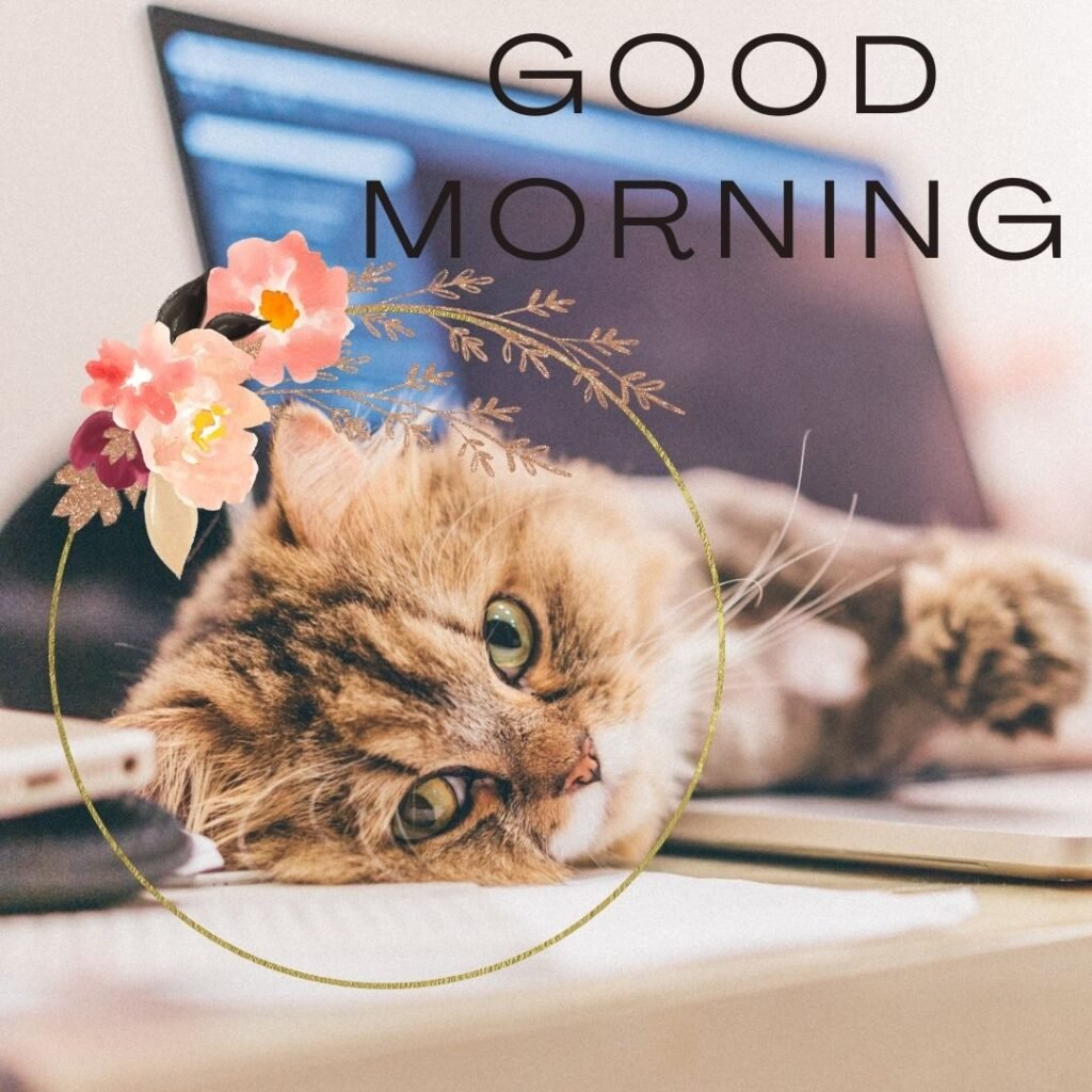 brown-colour-cat-is-sleeping-good-morning-quote-the-flower-circle-is-placed-1024x1024 90+ Free Good Morning with cat images for girl with boy