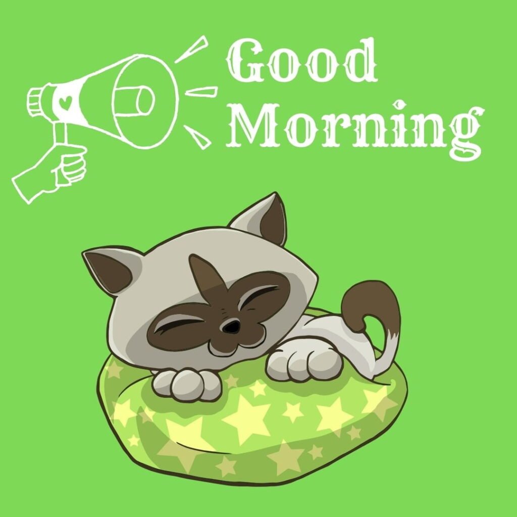 Grey cat is sleeping on green pillow, background color is green,good morning quote is palced