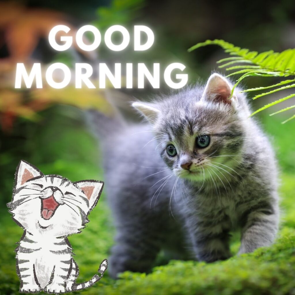 grey-color-cat-is-walk-and-see-the-cartoon-cat-with-green-background-good-morning-1024x1024 50+ Good Morning images with Animals & insects