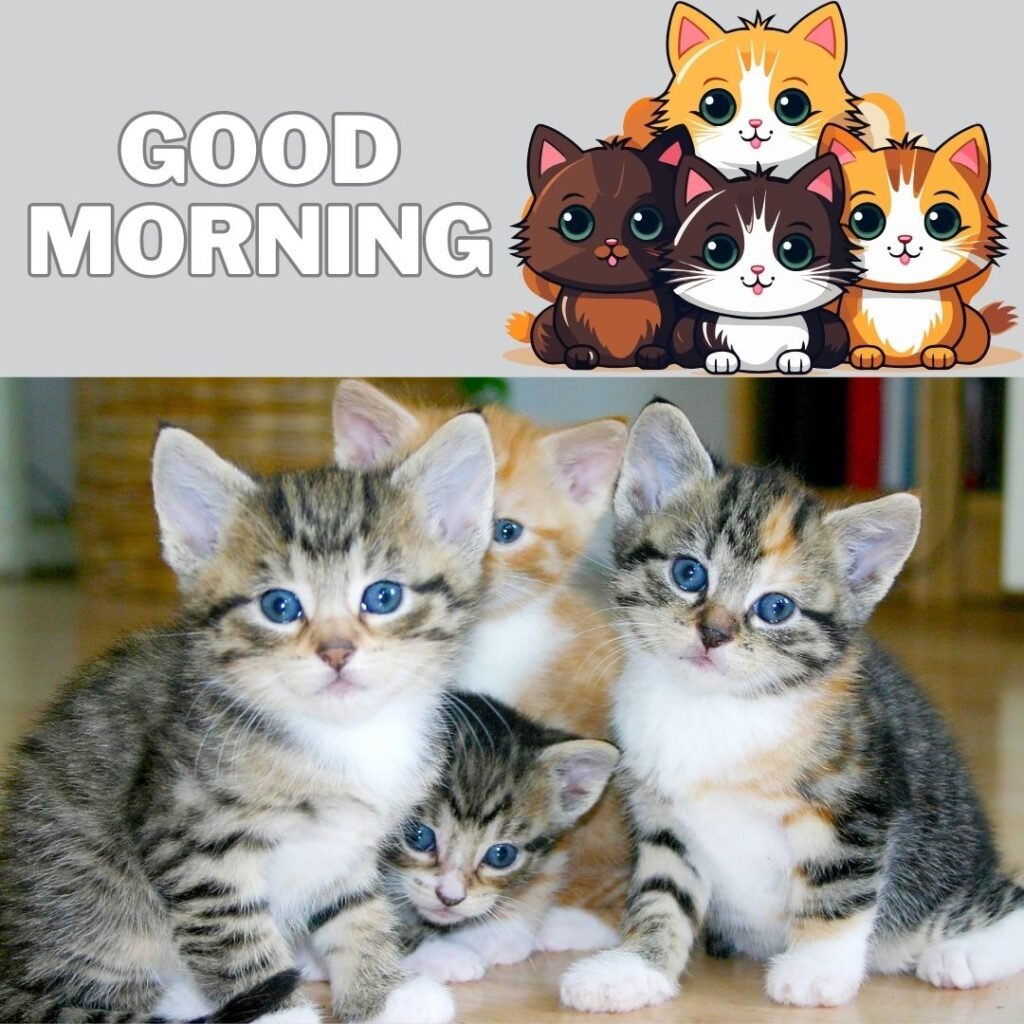 many-cats-sit-together-with-cartoon-cats-good-morning-quote-1024x1024 50+ Good Morning images with Animals & insects