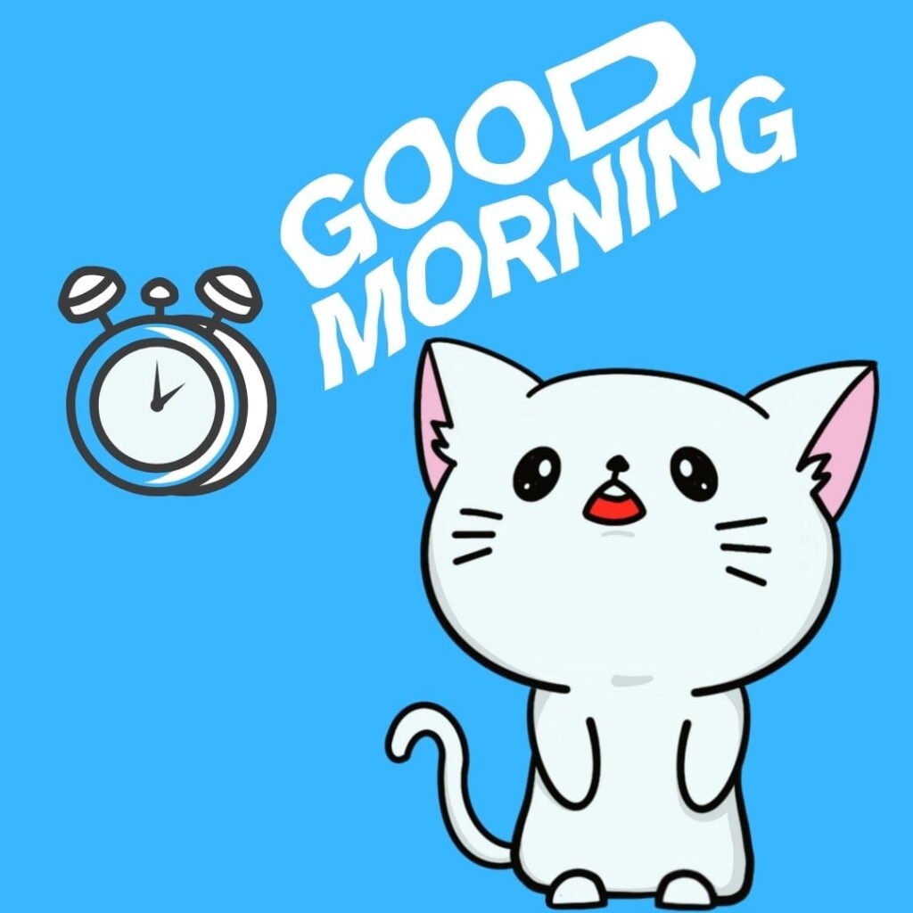 White cat see on top, timer with good morning quote is placed