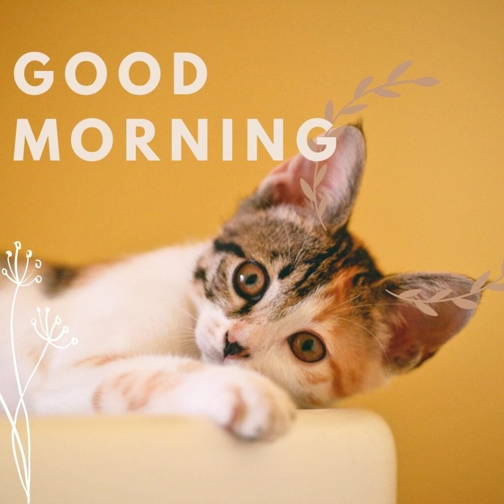 white-with-brown-cat-the-cat-is-lean-yellow-background-good-morning-quote-1024x1024 90+ Free Good Morning with cat images for girl with boy