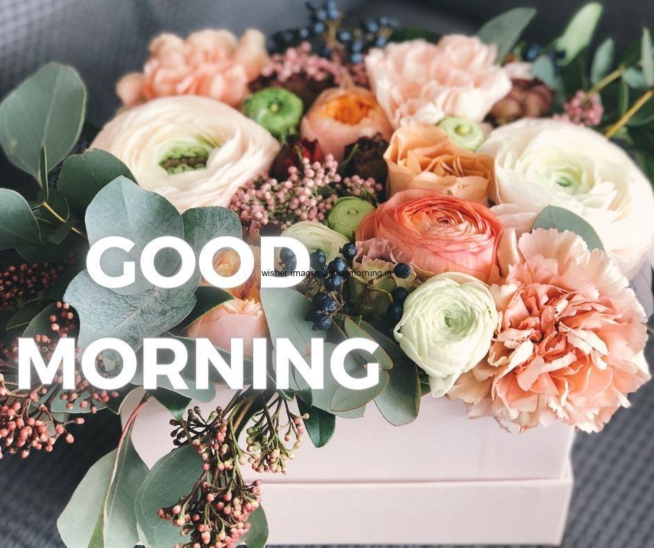 flowers behind the background with good morning images