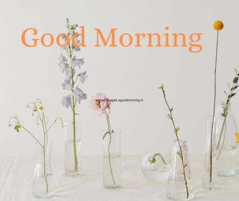 7-vase-in-the-flowers-with-grey-background-good-morning-flowers-images 60+ Good Morning Flowers images download & share