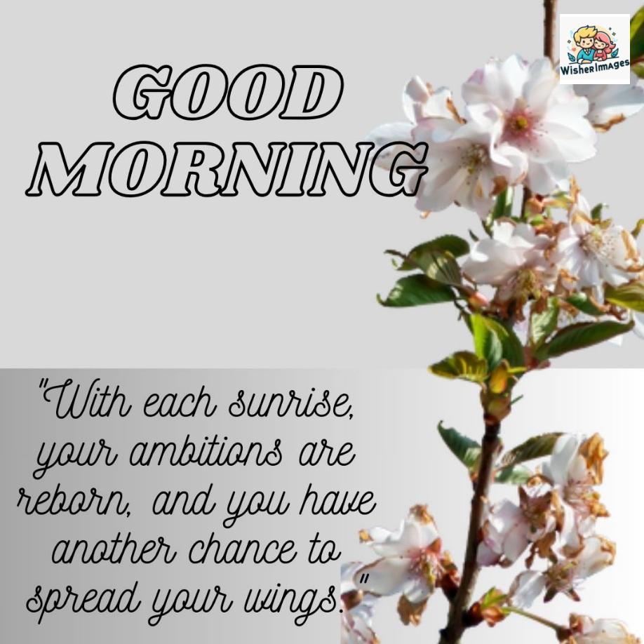 Big white with brown colour flower and grey background good morning quote is placed