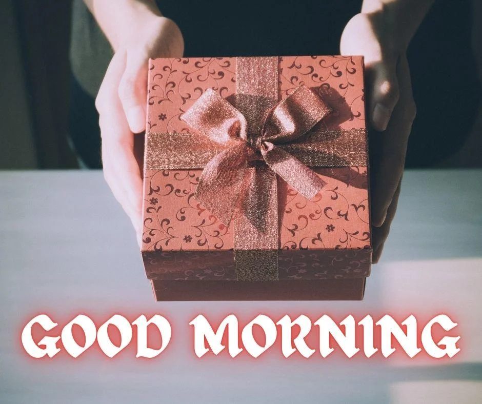 Black with white colour background with breautiful dark red colour gift box good morning images box