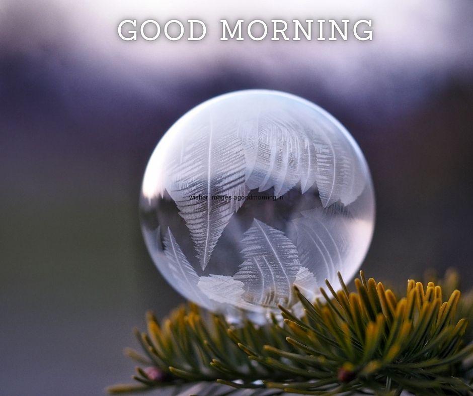 Bubble on the green leaf with grey and black background with good morning images