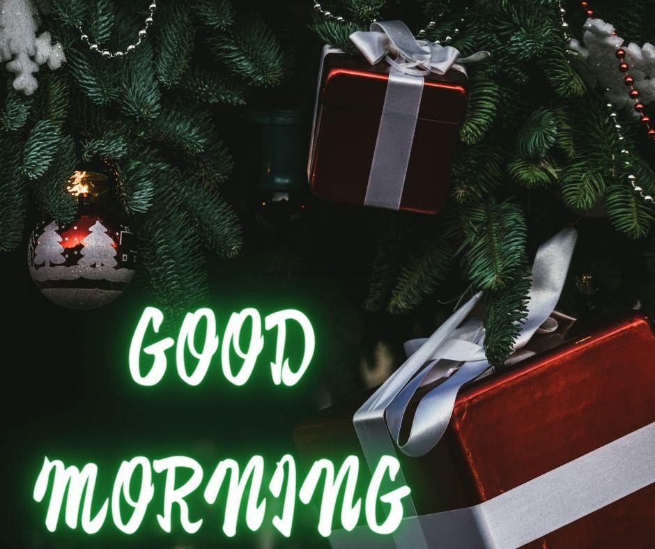 Dark-Green-leaf-colour-background-with-breautiful-red-colour-gift-with-golden-ribbon-box-good-morning-images-box 69+ Good Morning Images With Gift Boxes