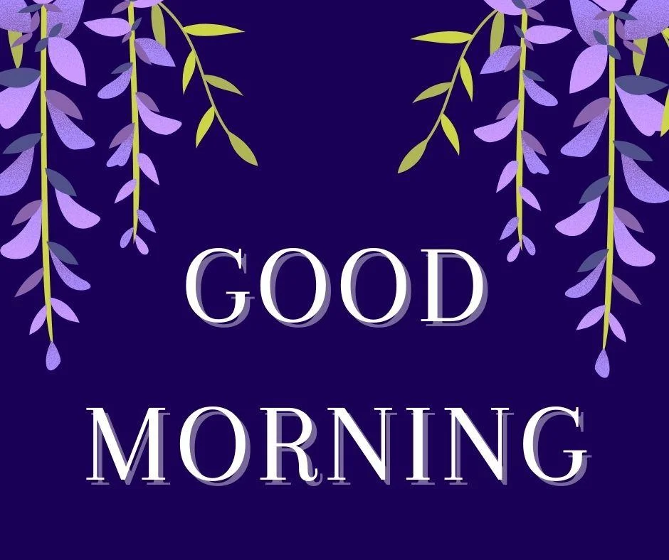 70+ Good Morning Flower Images 9 Dark background purple flowers good morning flower image good morning text with white