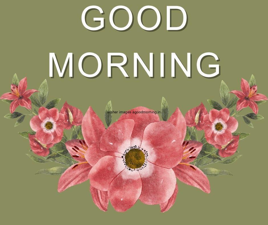 Dark green background red flowers with leaf good morning flower image good morning text with white