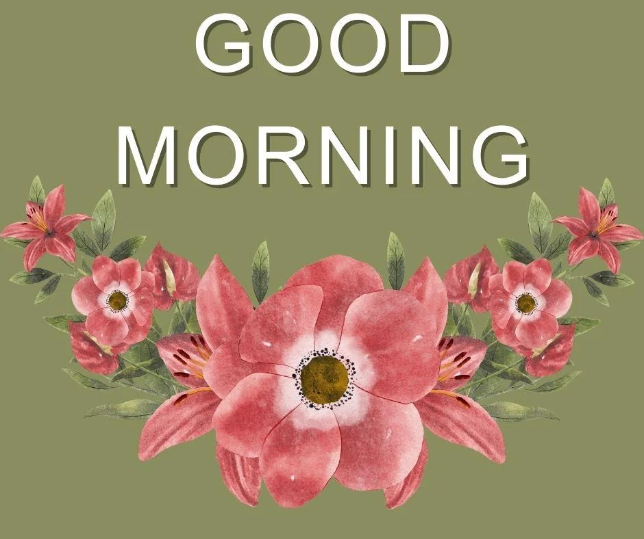 70+ Good Morning Flower Images 11 Dark green background red flowers with leaf good morning flower image good morning text with white