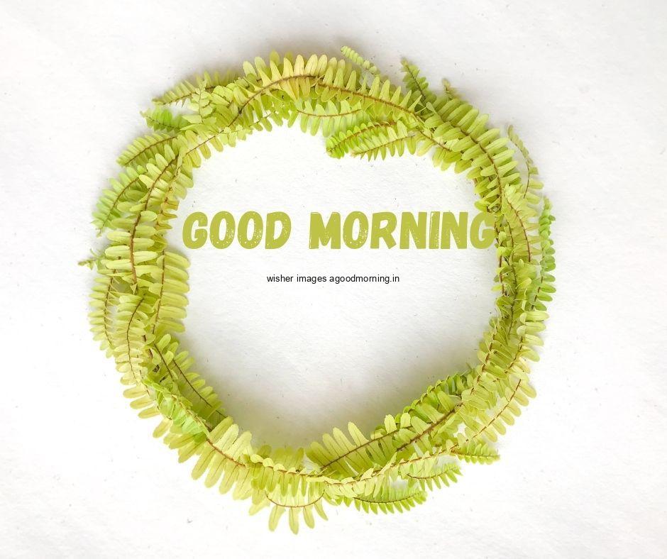 Green-flower-create-circle-with-beauitful-green-leafs-white-text-good-morning-image Free 35 HD Good Morning Images with circle