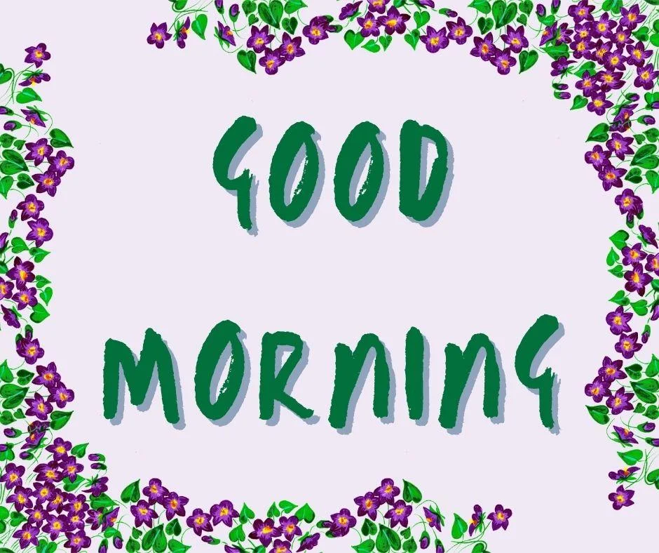 70+ Good Morning Flower Images 22 Grey background Dark purple flowers with Green leaf good morning flower image good morning text with Green