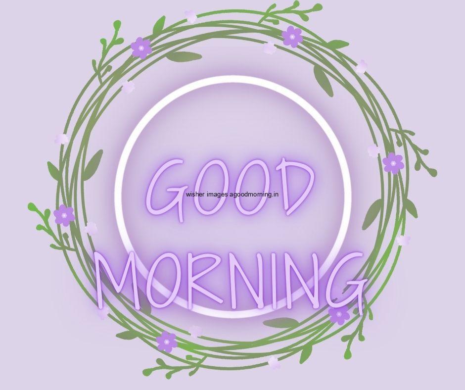 Grey background leaf Create the circle good morning flower image good morning text with purple