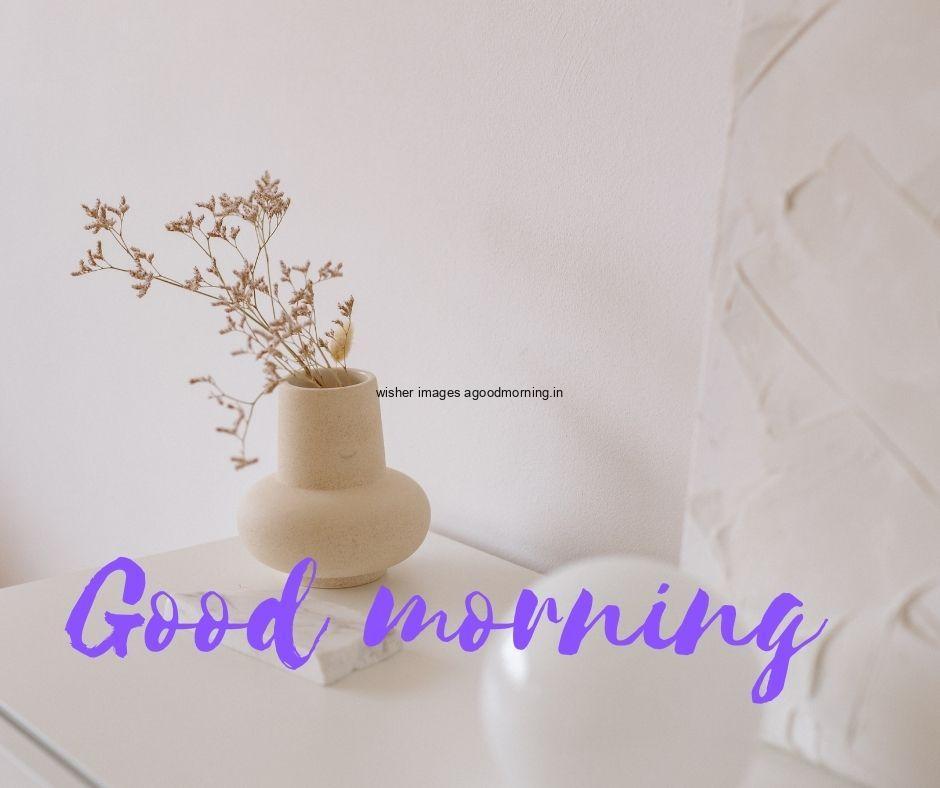 Grey background with brown vase and beautiful pink with white flowers good morning flower images quote is placed