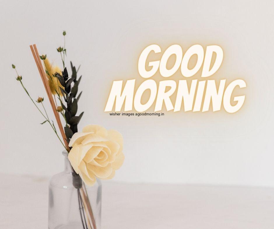 Grey-background-with-brown-vase-and-beautiful-rose-flowers-good-morning-flower-images-quote-is-placed 60+ Good Morning Flowers images download & share