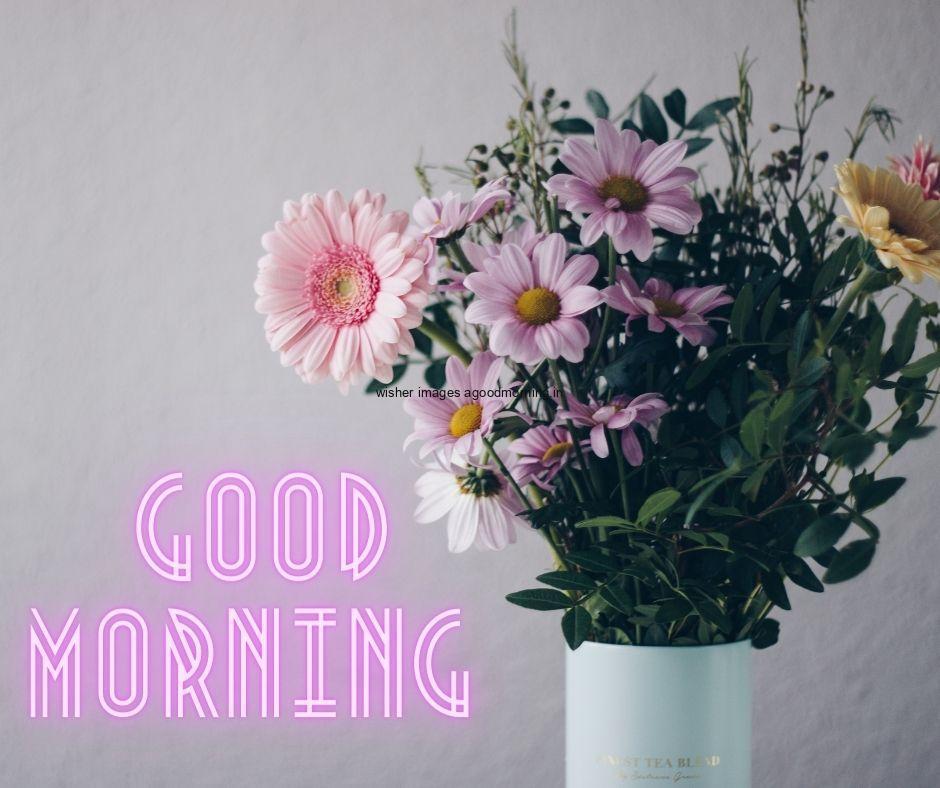 Grey-background-with-white-vase-and-beautiful-flowers-and-green-leafs-good-morning-flower-images-quote-is-placed 60+ Good Morning Flowers images download & share