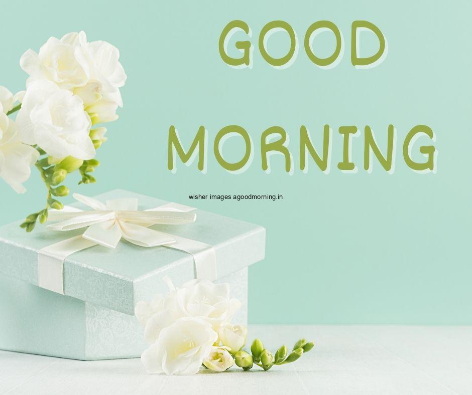 Light-Green-colour-background-with-breautiful-green-colour-gift-box-with-white-flower-good-morning-images-box 69+ Good Morning Images With Gift Boxes