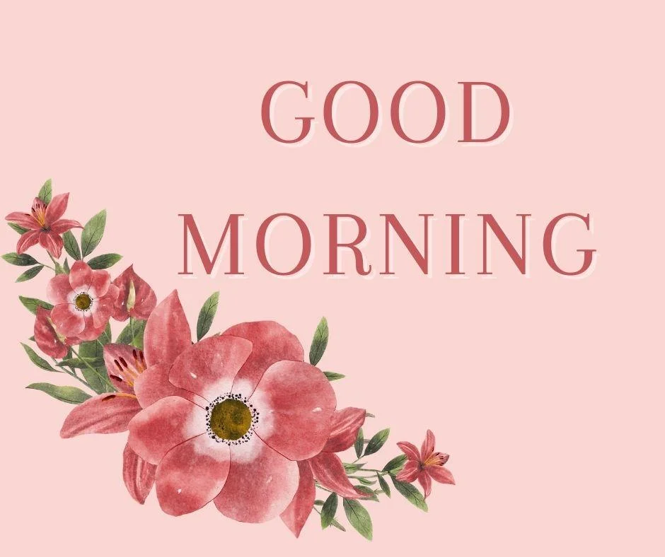 70+ Good Morning Flower Images 30 Light pink Background red flowers with leaf good morning flower image good morning text with red