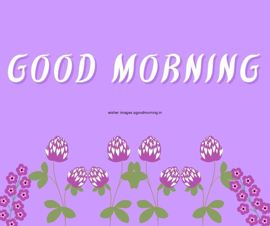 Light purple background purple flowers with leaf good morning flower image good morning text with white