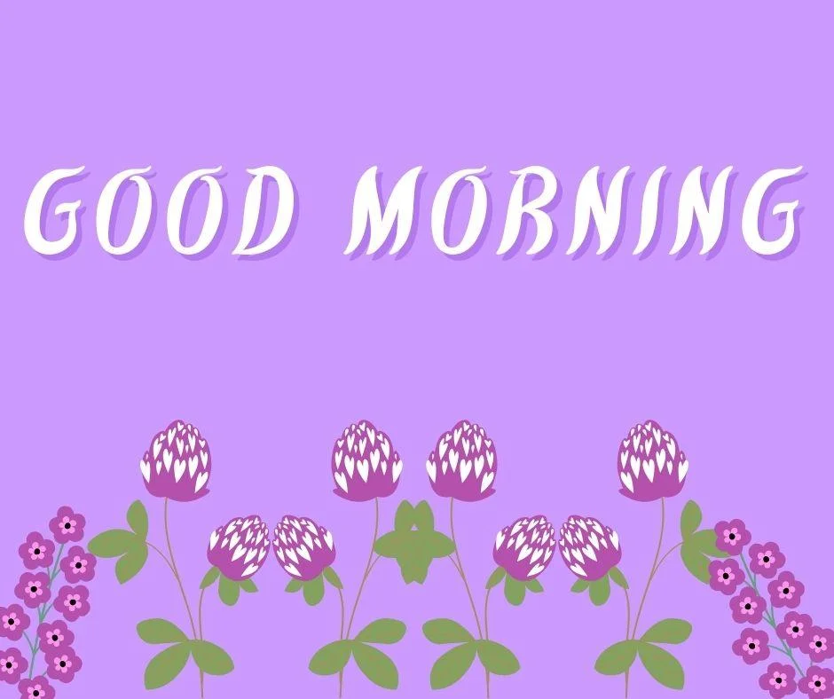 70+ Good Morning Flower Images 37 Light purple background purple flowers with leaf good morning flower image good morning text with white