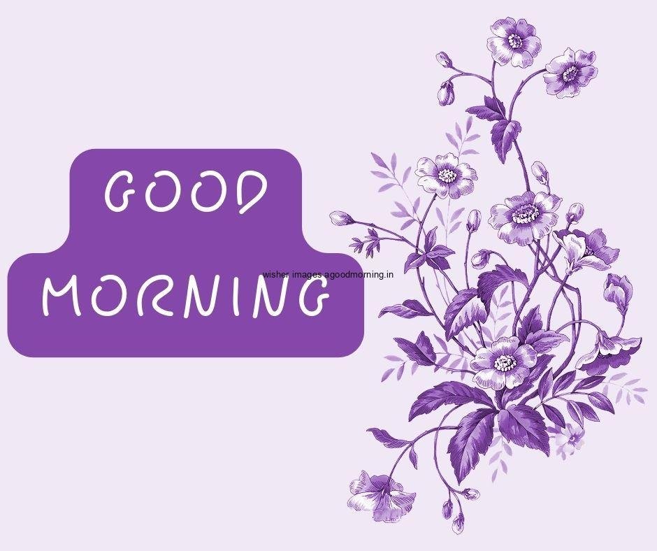 Light purple with grey background purple flowers with leaf good morning flower image good morning text with white