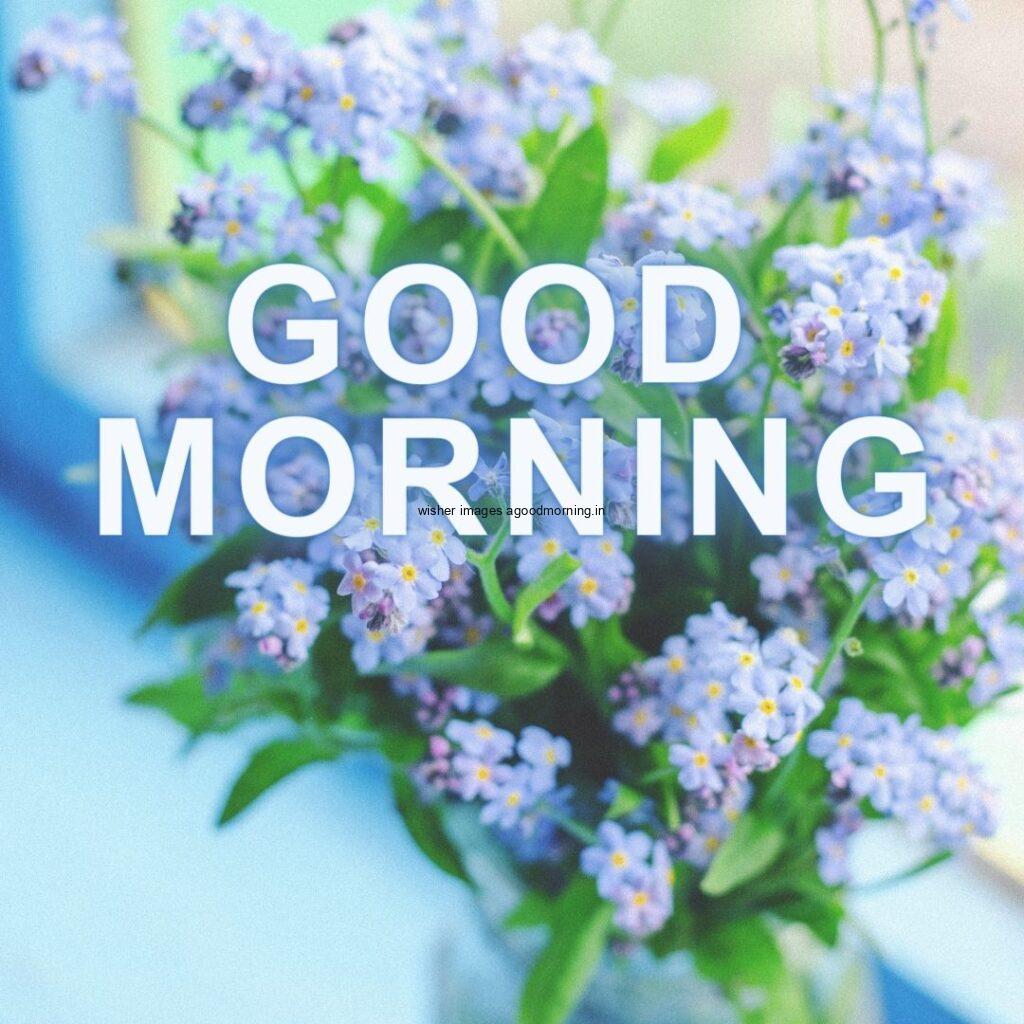 Many blue flower with green background good morning quote is placed with white colour