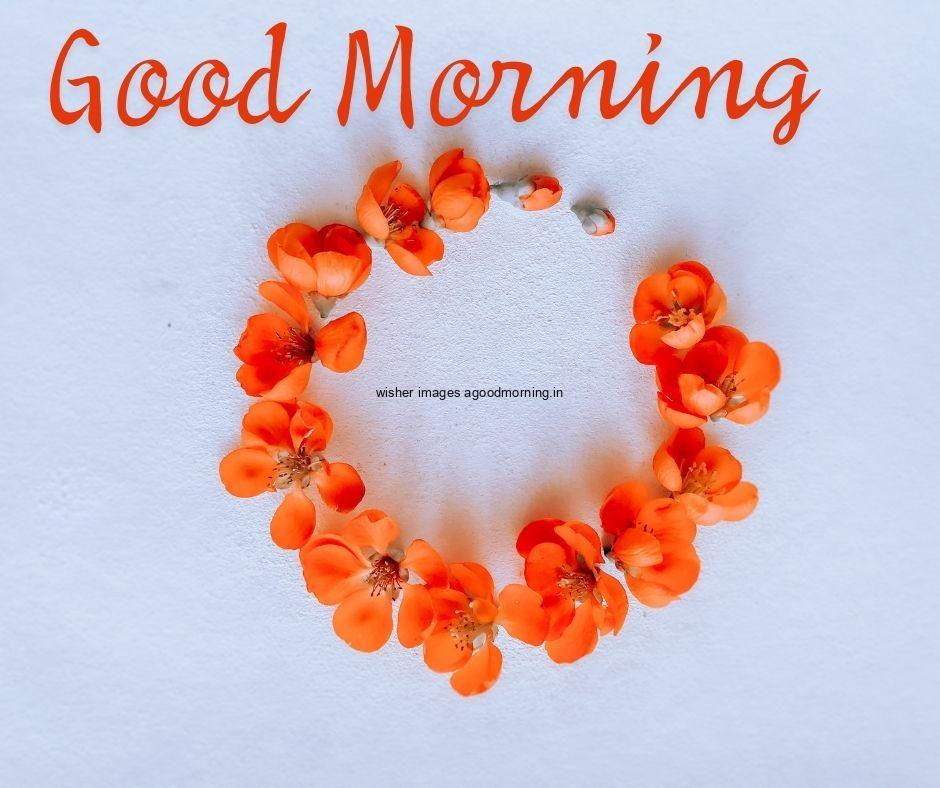 Oranges-flower-create-circle-with-beauitful-flowers-with-white-text-good-morning-image Free 35 HD Good Morning Images with circle