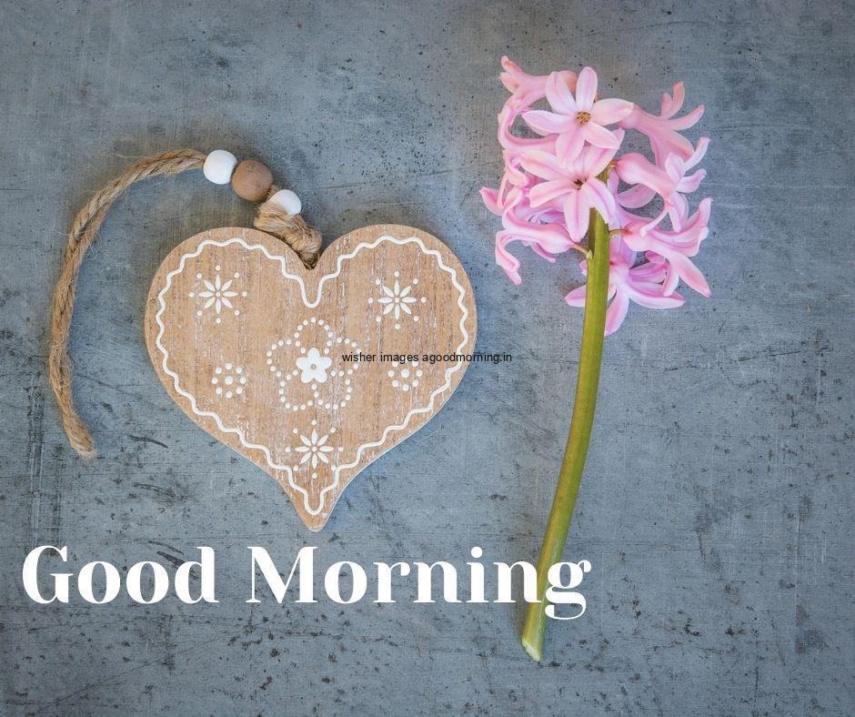 Pink flowers with brown heart good morning love images free download and share