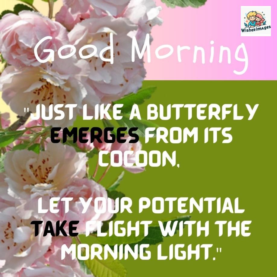 Pink flowers with green leaf good morning quote is placed