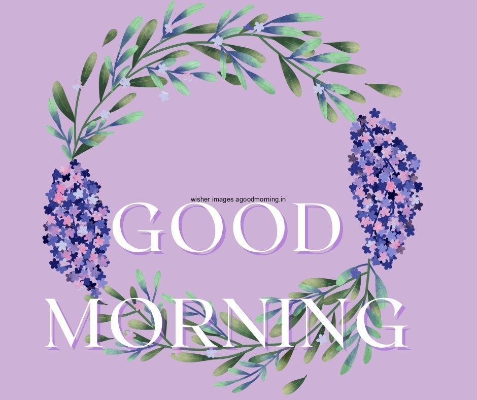 Purple background blue flowers with Green leaf good morning flower image good morning text with white