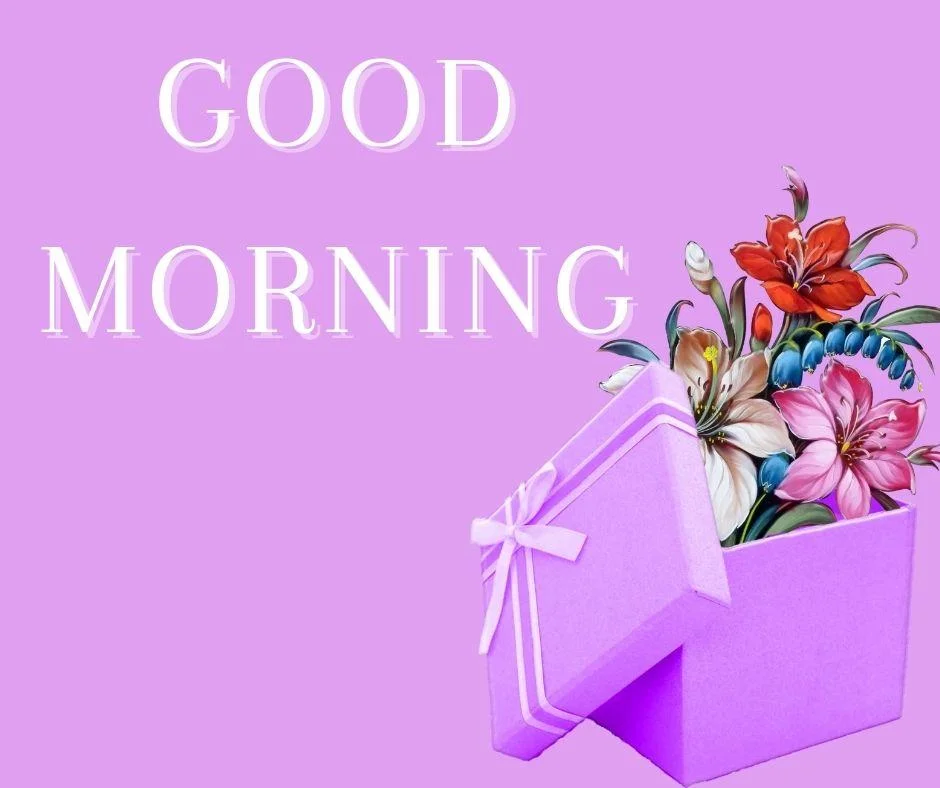 70+ Good Morning Flower Images 56 Purple background red with pink flowers in gift box good morning flower image good morning text with white