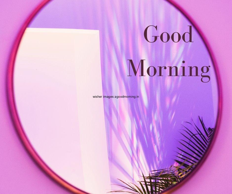 Purple mirror with plants grey background with green text good morning images