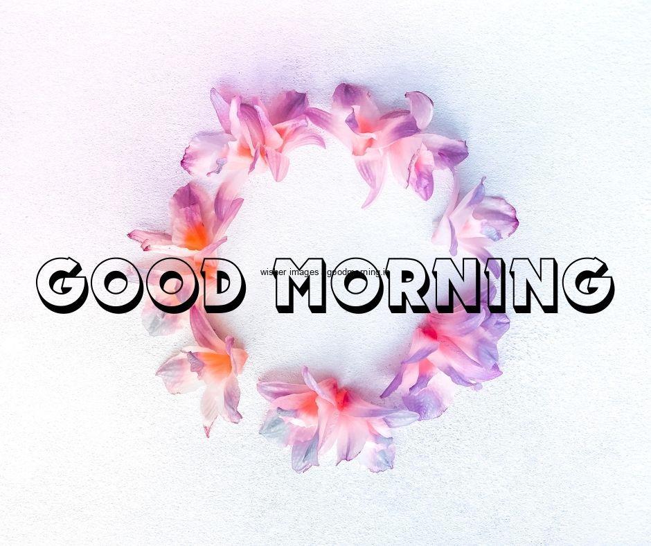 Purple with Pink flower create circle with beauitful flowers with white text good morning image