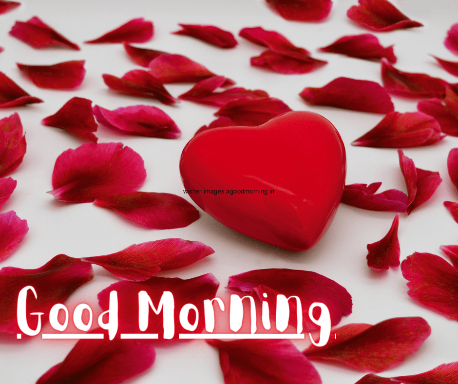 Red-heart-in-the-middle-red-rose-leaf-spreaded-in-the-background-good-morning-love-images-free-download 60+ HD Good Morning Love images Free