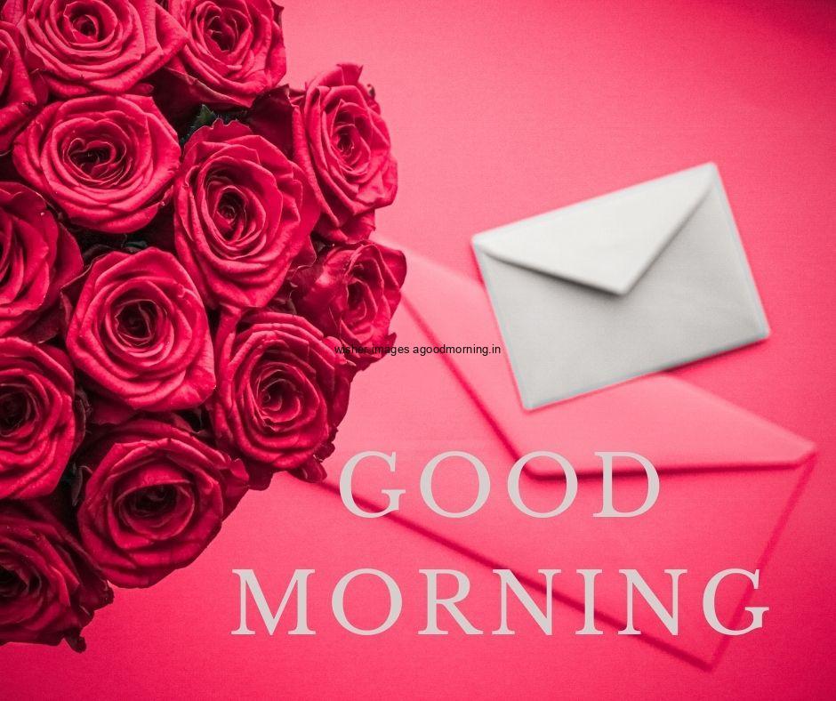 Red roses with white envoled good morning quote is placed pink background is placed