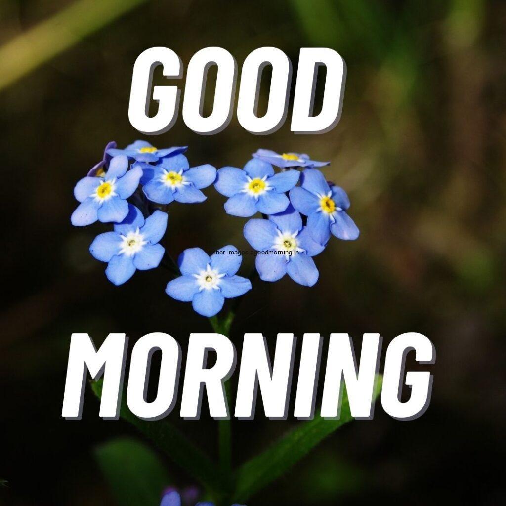 Blue flower create heart shape good morning quote is placed