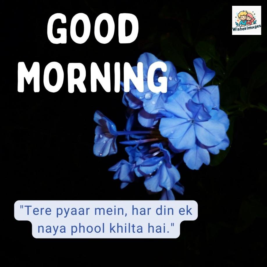 Blue flowers with black background, good morning quote is placed